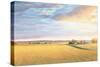 Heartland Landscape-James Wiens-Stretched Canvas