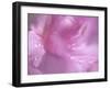 Hearts in Pink II-Gillian Hunt-Framed Photographic Print