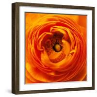 Hearts of Flowers I-Howard Ruby-Framed Photographic Print