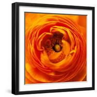 Hearts of Flowers I-Howard Ruby-Framed Photographic Print