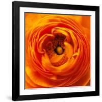 Hearts of Flowers I-Howard Ruby-Framed Photographic Print