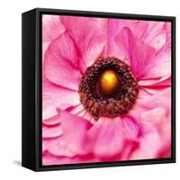 Hearts of Flowers II-Howard Ruby-Framed Stretched Canvas