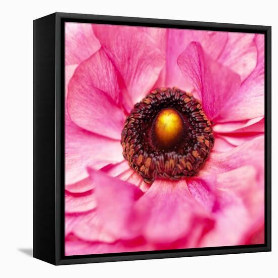 Hearts of Flowers II-Howard Ruby-Framed Stretched Canvas