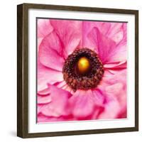 Hearts of Flowers II-Howard Ruby-Framed Photographic Print