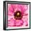 Hearts of Flowers II-Howard Ruby-Framed Photographic Print