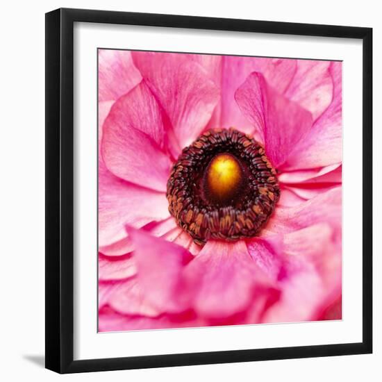 Hearts of Flowers II-Howard Ruby-Framed Photographic Print