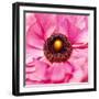 Hearts of Flowers II-Howard Ruby-Framed Photographic Print
