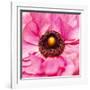 Hearts of Flowers II-Howard Ruby-Framed Photographic Print