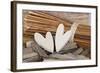 Hearts, Wood, Deko, Stilllife-Andrea Haase-Framed Photographic Print
