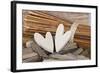 Hearts, Wood, Deko, Stilllife-Andrea Haase-Framed Photographic Print