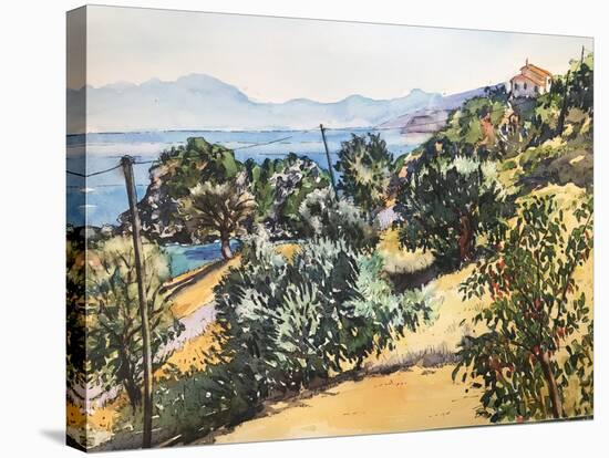 Heat of the Day Greece 2020 (watercolour)-Tilly Willis-Stretched Canvas