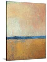 Heat of the Day-Jeannie Sellmer-Stretched Canvas