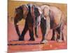 Heat, Ol Pejeta-Mark Adlington-Mounted Giclee Print