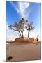 Heat, the Trees in A Desert-Olexandr-Mounted Photographic Print