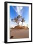 Heat, the Trees in A Desert-Olexandr-Framed Photographic Print