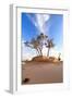 Heat, the Trees in A Desert-Olexandr-Framed Photographic Print