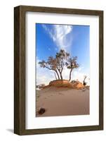 Heat, the Trees in A Desert-Olexandr-Framed Photographic Print