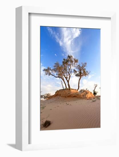 Heat, the Trees in A Desert-Olexandr-Framed Photographic Print