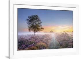 Heath at Dawn-Steve Docwra-Framed Giclee Print