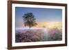 Heath at Dawn-Steve Docwra-Framed Giclee Print