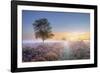 Heath at Dawn-Steve Docwra-Framed Giclee Print