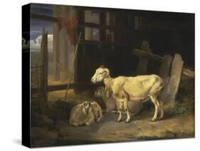 Heath Ewe and Lambs, 1810-James Ward-Stretched Canvas