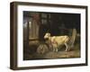 Heath Ewe and Lambs, 1810-James Ward-Framed Giclee Print