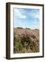 Heath in Landscape-Ivonnewierink-Framed Photographic Print