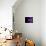 Heath Ledger 001-Rock Demarco-Giclee Print displayed on a wall
