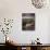 Heather and Moorland View, Near Birch Tor, Dartmoor Np, Devon, UK, August 2008-Ross Hoddinott-Photographic Print displayed on a wall