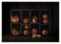 Still Life with Oranges-Heather Bonadio-Photographic Print