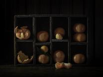 Still Life with Oranges-Heather Bonadio-Photographic Print