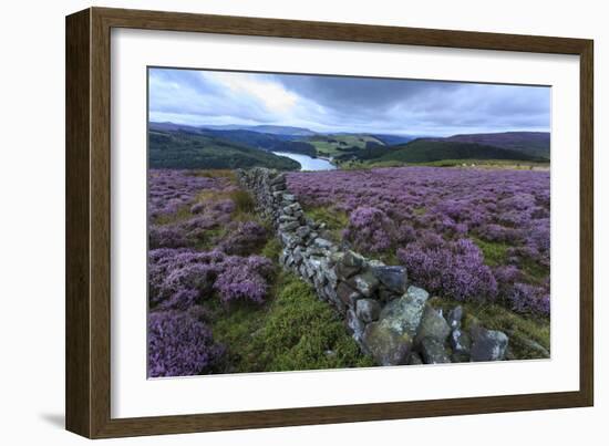 Heather Covered Bamford Moor-Eleanor Scriven-Framed Photographic Print