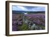 Heather Covered Bamford Moor-Eleanor Scriven-Framed Photographic Print