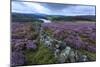 Heather Covered Bamford Moor-Eleanor Scriven-Mounted Photographic Print