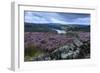 Heather Covered Bamford Moor-Eleanor Scriven-Framed Photographic Print