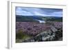 Heather Covered Bamford Moor-Eleanor Scriven-Framed Photographic Print