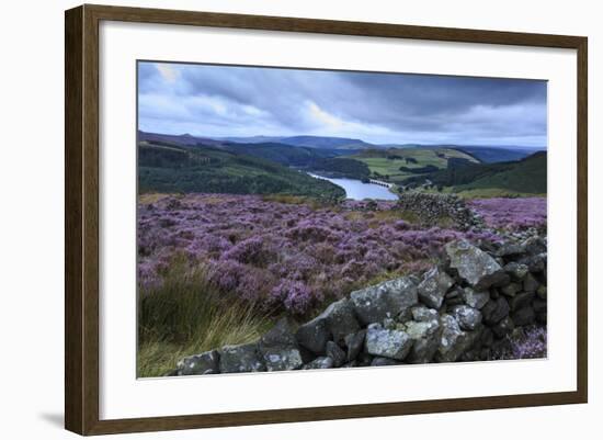 Heather Covered Bamford Moor-Eleanor Scriven-Framed Photographic Print