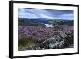 Heather Covered Bamford Moor-Eleanor Scriven-Framed Photographic Print