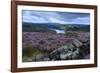 Heather Covered Bamford Moor-Eleanor Scriven-Framed Photographic Print