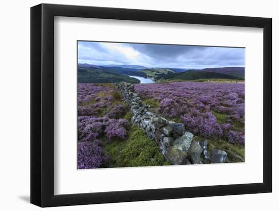 Heather Covered Bamford Moor-Eleanor Scriven-Framed Photographic Print