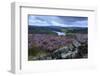 Heather Covered Bamford Moor-Eleanor Scriven-Framed Photographic Print