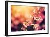 Heather Flowers on a Fall, Autumn Meadow in Shining Settng Sun that Gives Warm Mood. Vintage Retro-Michal Bednarek-Framed Photographic Print