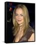Heather Graham-null-Framed Stretched Canvas