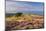 Heather in Flower on Porlock Common, Exmoor National Park, Somerset, England. Summer (August)-Adam Burton-Mounted Photographic Print