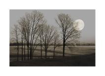 November Moon-Heather Jacks-Giclee Print