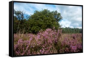 Heather Landscape-Ivonnewierink-Framed Stretched Canvas