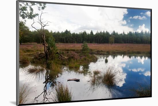 Heather Landscape-Ivonnewierink-Mounted Photographic Print