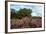 Heather Landscape-Ivonnewierink-Framed Photographic Print