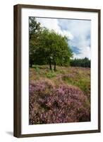 Heather Landscape-Ivonnewierink-Framed Photographic Print